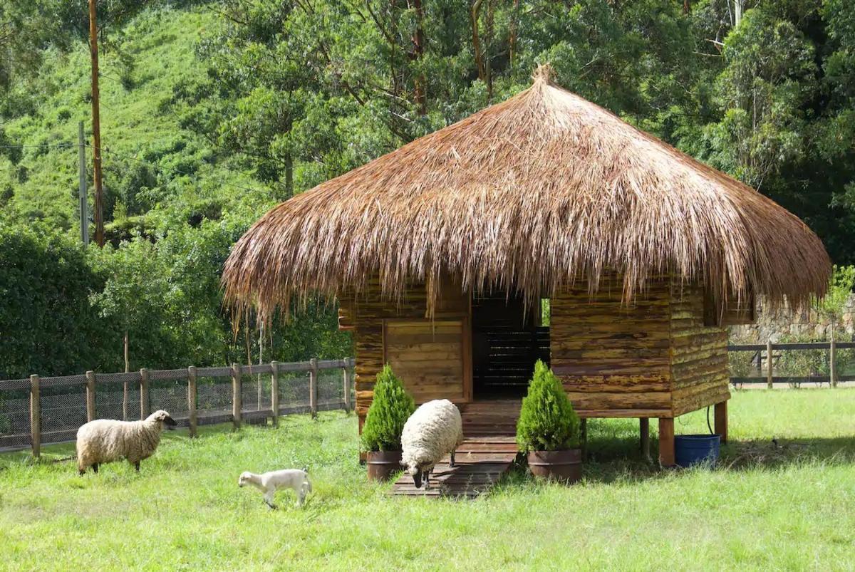Go Organic Experience Santo Antônio do Pinhal Exterior foto
